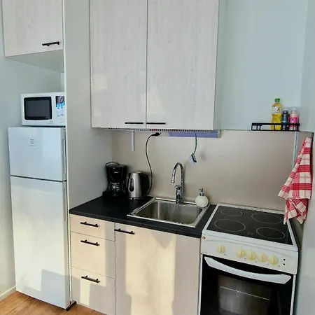 Rentoudu Taessae Apartment Lahti